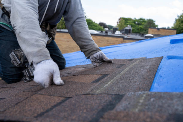 Best Flat Roof Repair Services  in Rankin, PA